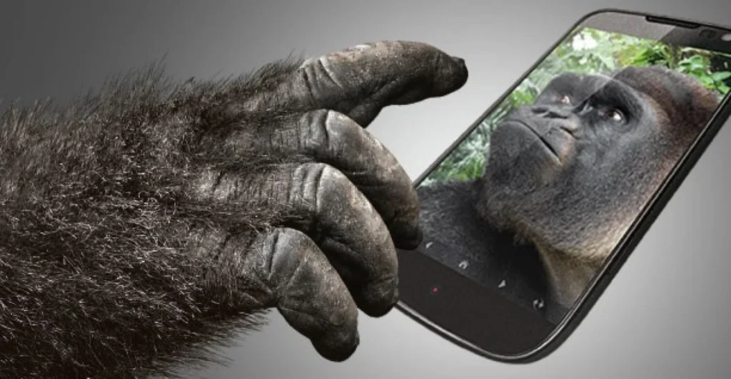 Gorilla Glass en crise : pourquoi les fabricants de smartphones optent pour leurs solutions maison ? 62 img