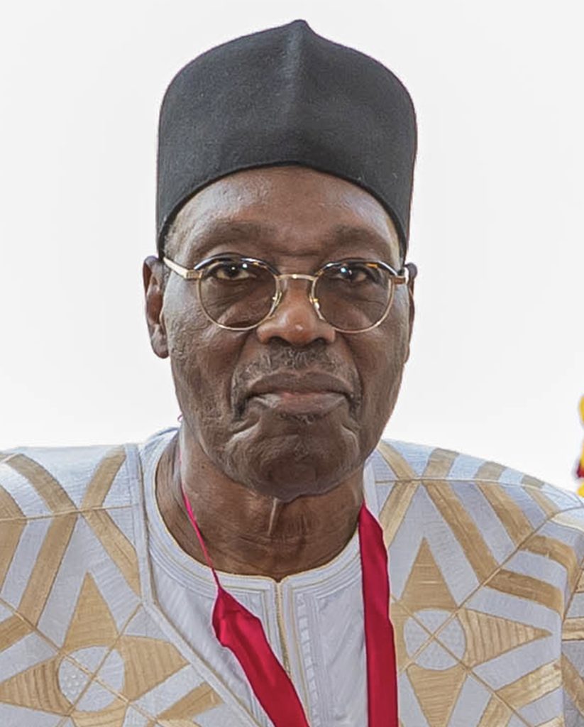 Issa Tchiroma Bakari cropped