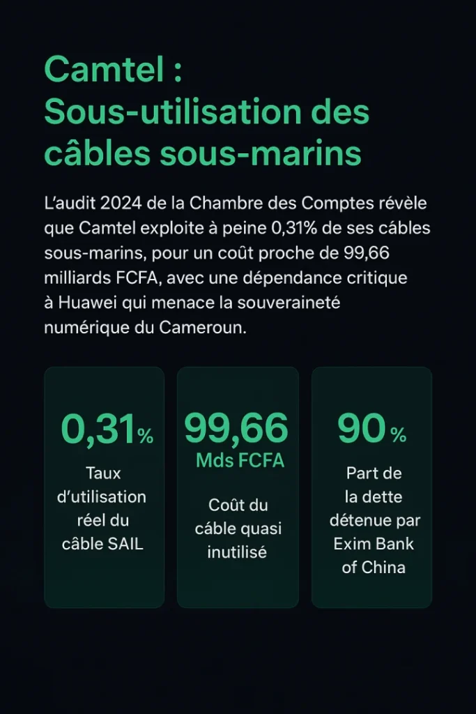 Camtel : seulement 0,31 % de ses câbles sous-marins utilisés, un gouffre financier et un risque stratégique 62 audit camtel cables resized